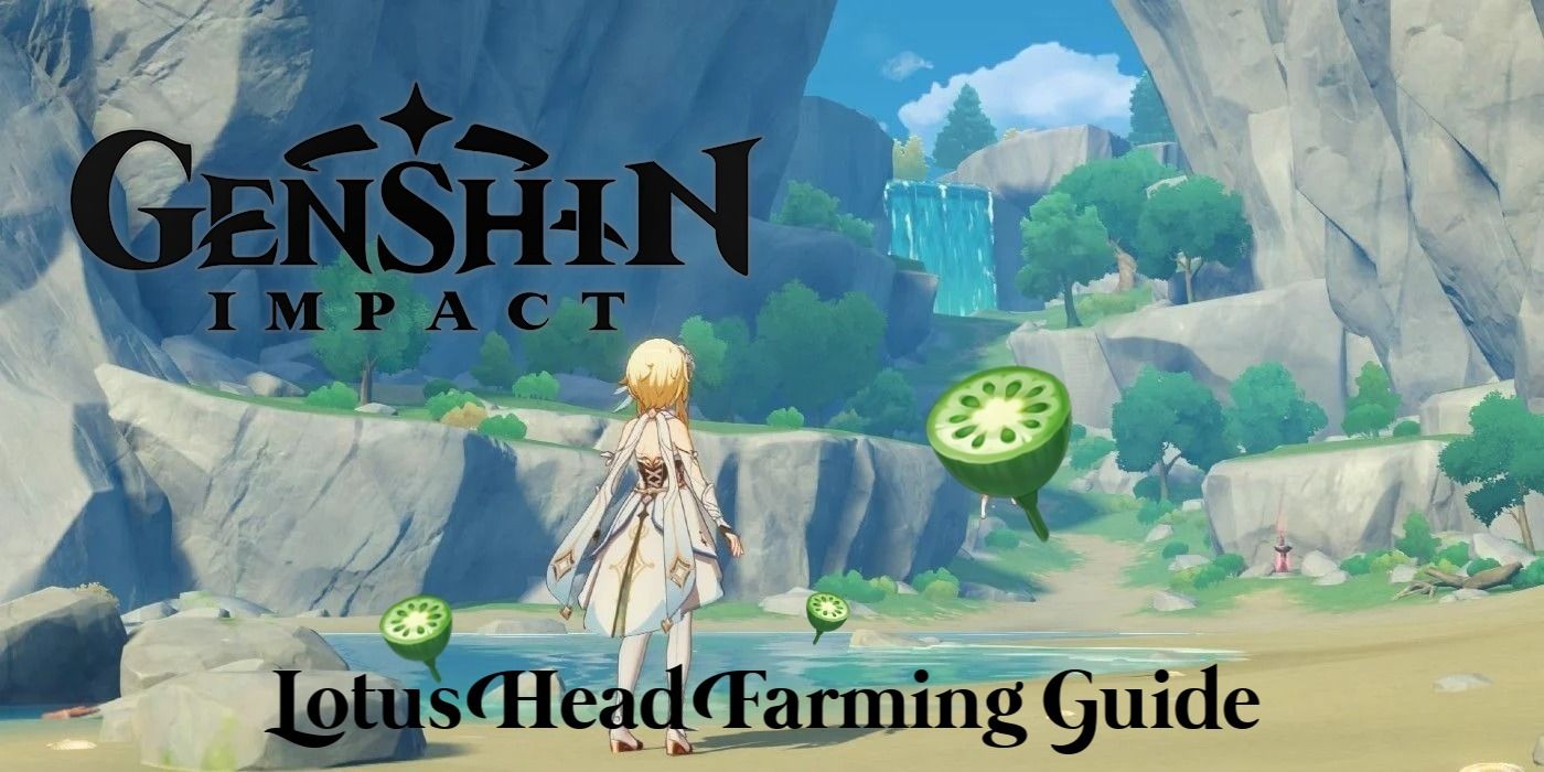 Genshin Impact: где выращивать Lotus Head