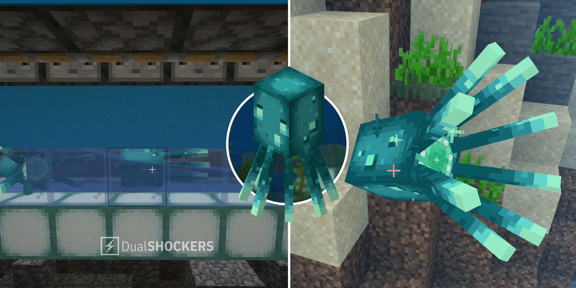 Minecraft: как выращивать светящихся кальмаров