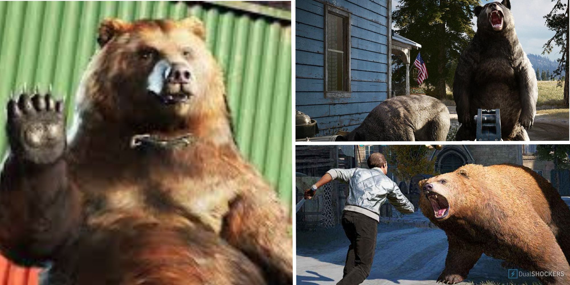 Far Cry 5: где найти медведей гризли