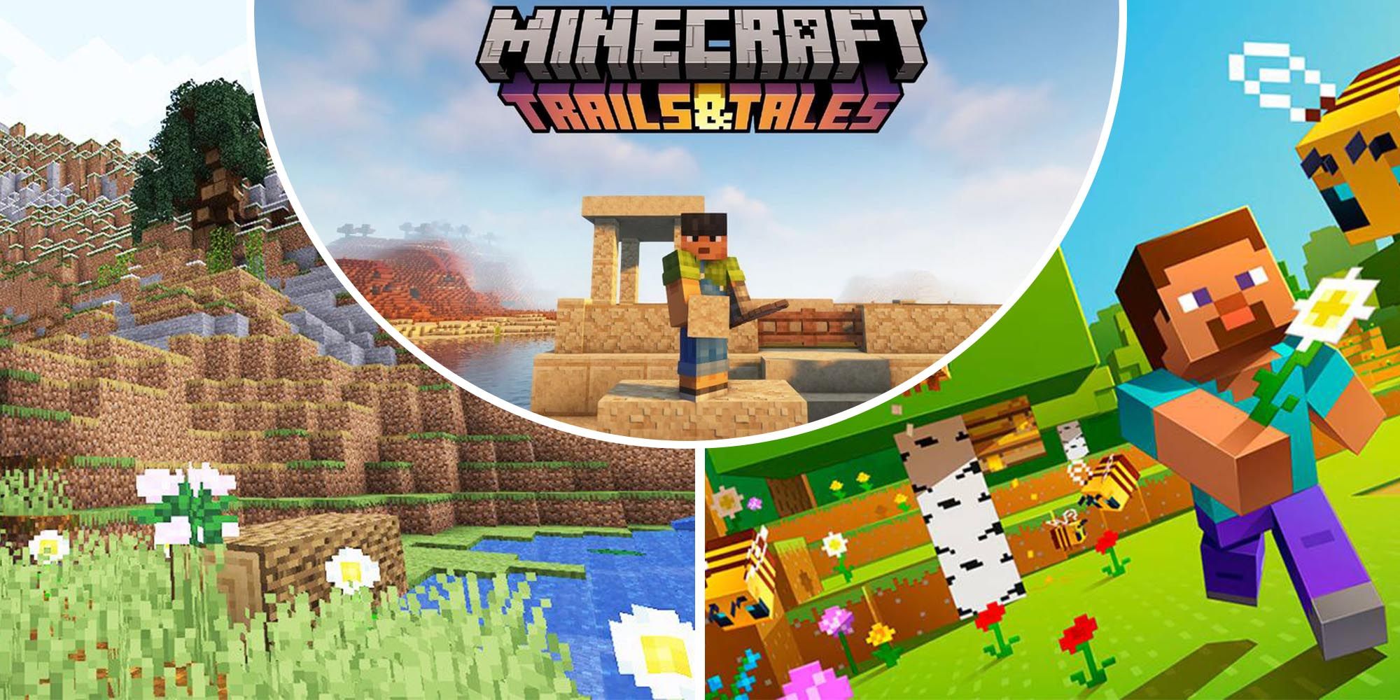 Trails and Tales Minecraft. Когда выйдет версия 1.20 в майнкрафт. Текстуры майнкрафт Trails & Tales. Майнкрафт когда вышла версия 1.16.5.